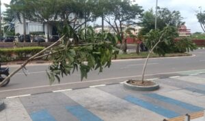 IMG-20230912-WA0166(1)